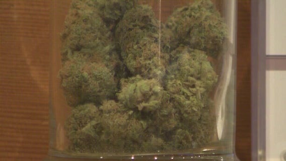 Warren City Council may be close to approving marijuana businesses