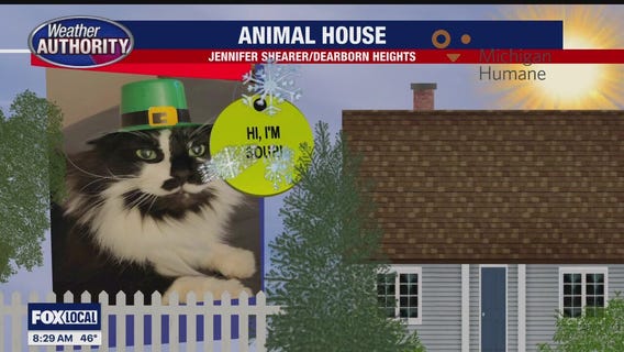 Welcome Sour, Cocoa, Lela