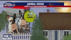 Welcome Cooper, Winnie, Spirit, Vader