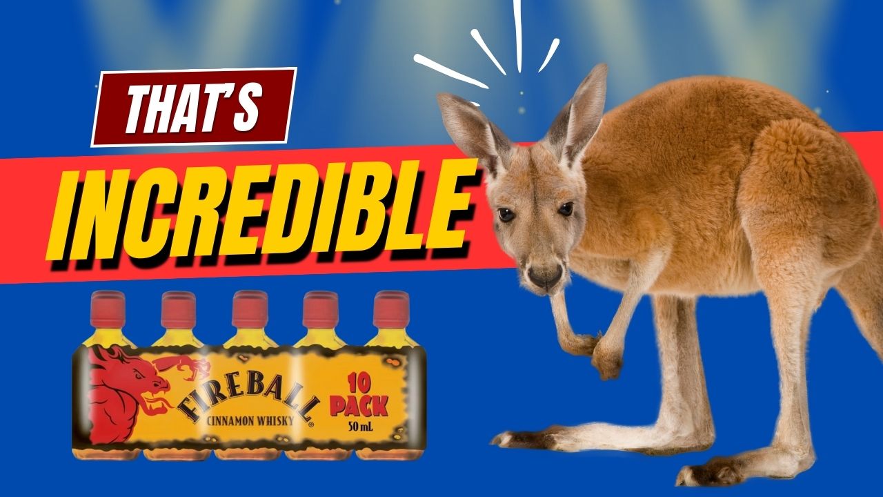 That?s Incredible: Kangaroos, Fireball & In-Flight Chaos