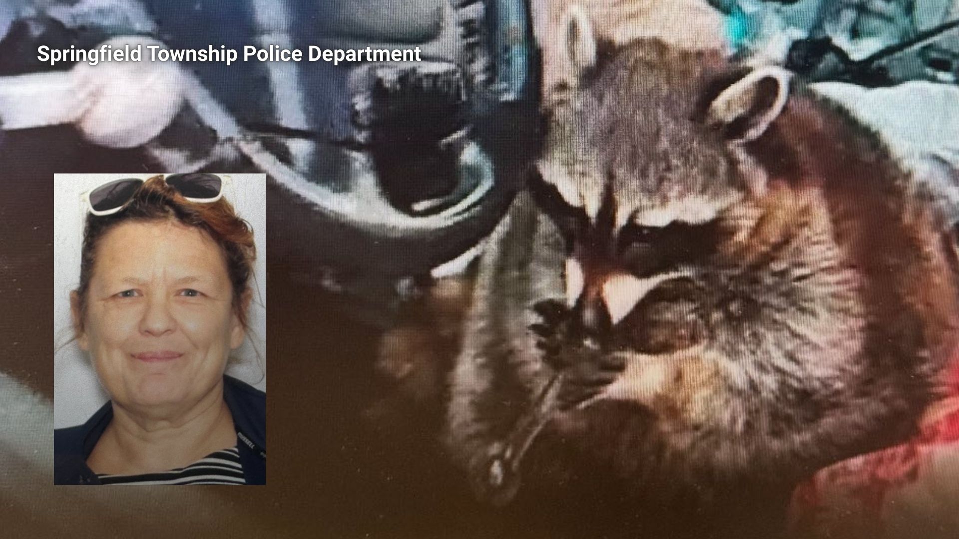 Woman's pet raccoon found with meth pipe in mouth