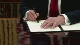 President Trump announces 25% tariffs on auto imports