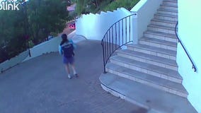 Porch pooper caught on video mid-delivery
