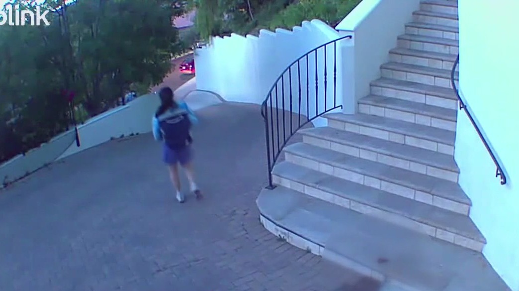 Porch pooper caught on video mid-delivery