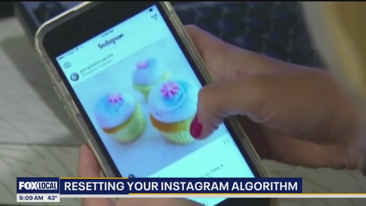 Resetting your Instagram algorithm