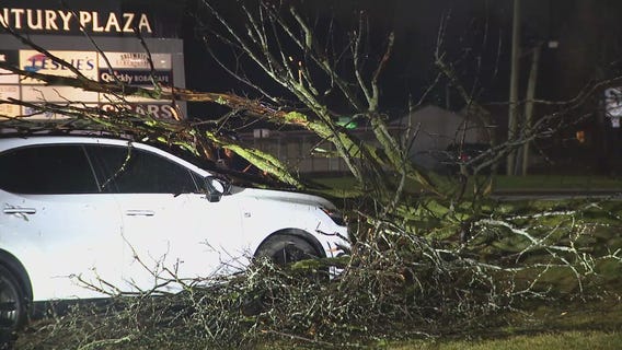 Storm damage in Troy after heavy winds rip through region