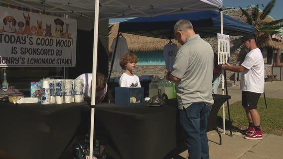 Metro Detroit boy's lemonade stand raises money for animal shelters
