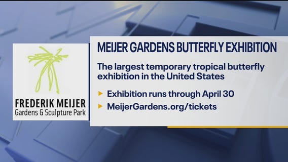 Meijer Gardens Butterfly Exhibit
