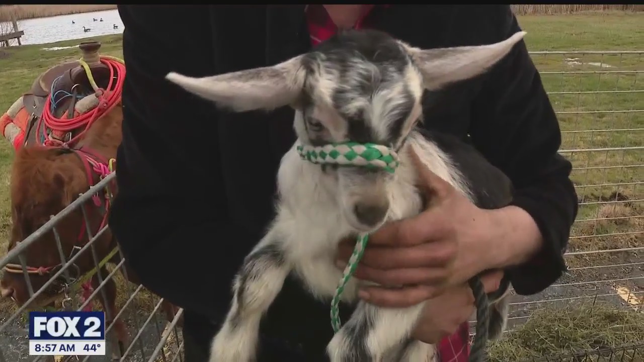 Prince Halls Shriners As Mentors host easter egg hunt at Pingree Farms