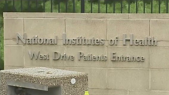 Michigan losing more than $380M due to public health cuts