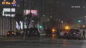 Woman killed in South LA hit-and-run
