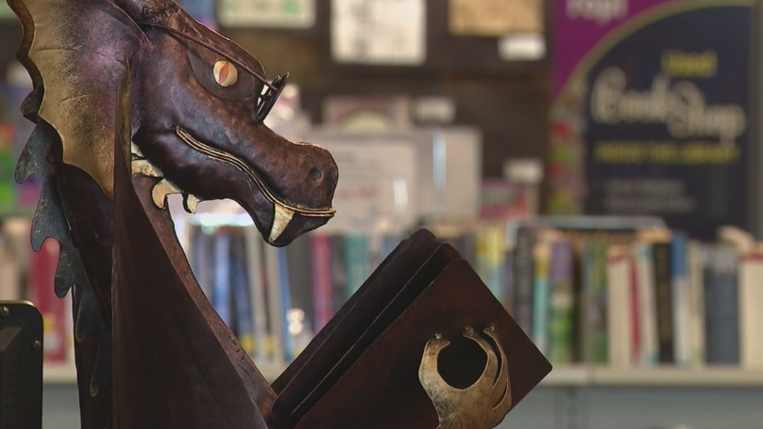 DOGE federal cuts impacting library funding