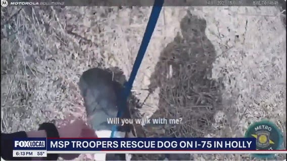 Troopers rescue dog running on I-75 in Holly