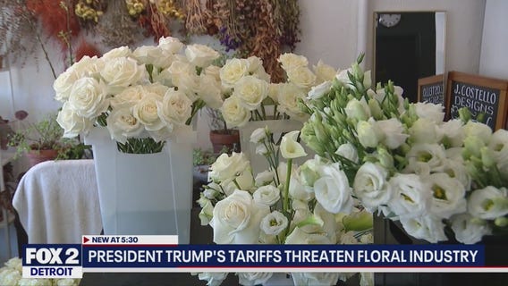 Tariff impacts being dealt with by Metro Detroit florists
