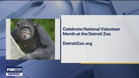 Volunteer Month at the Detroit Zoo