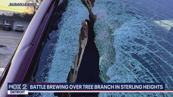 Sterling Heights mayor says city won't pay for damages on woman's vehicle