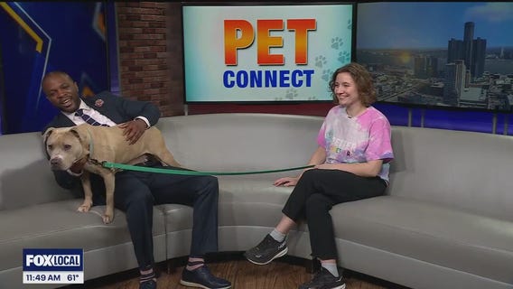 Pet Connect: Meet Della!