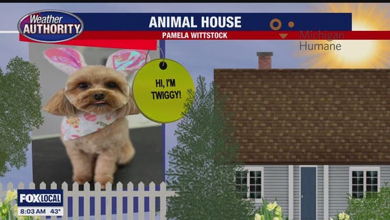 Welcome Twiggy, Vinny, Prince