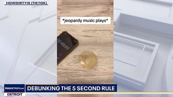 Debunking the 5 second rule