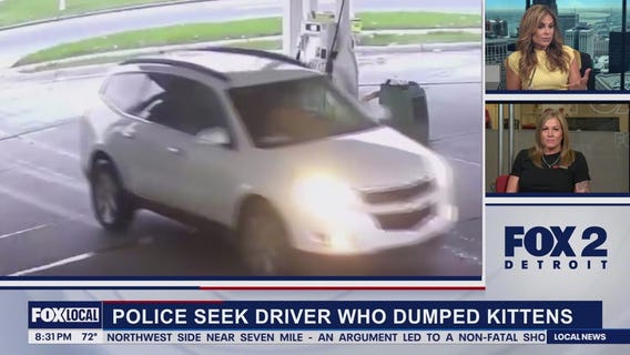 The Breakdown with Taryn Asher | April 23