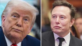 Trump, Elon Musk hurl insults, accusations in feud