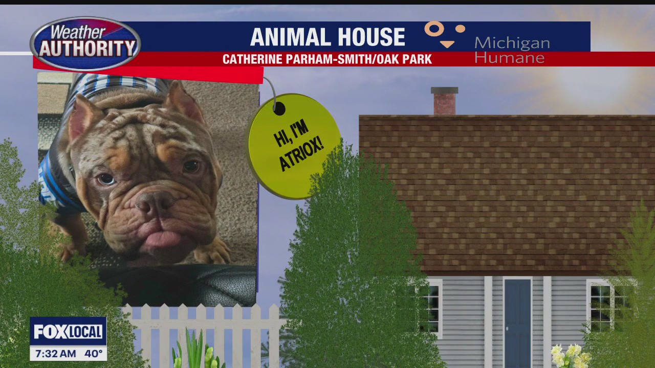 Welcome Atriox, Binx, Sophia