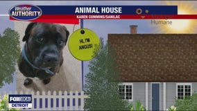 Welcome Angus, Charlie, Ms. Mulligan