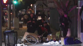 Downtown LA businesses destroyed