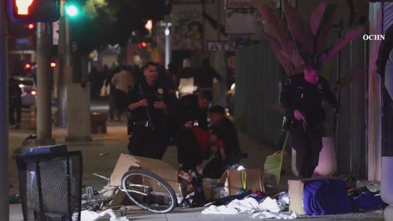 Downtown LA businesses destroyed