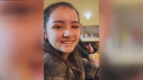 Search continues for missing Roseville teen