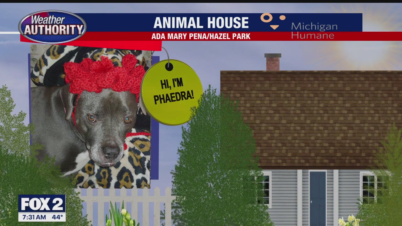 Welcome Phaedra, Stella, Coco Chanel