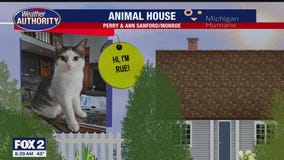 Welcome Rue, Kiya, Xena