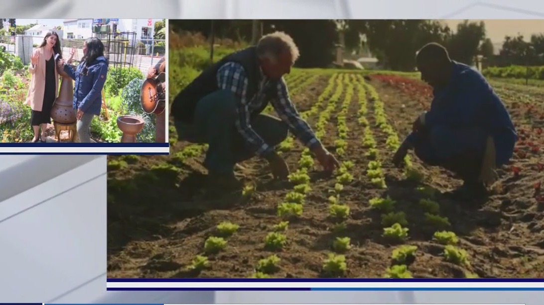 Local musician invents the 'Soil Maker'