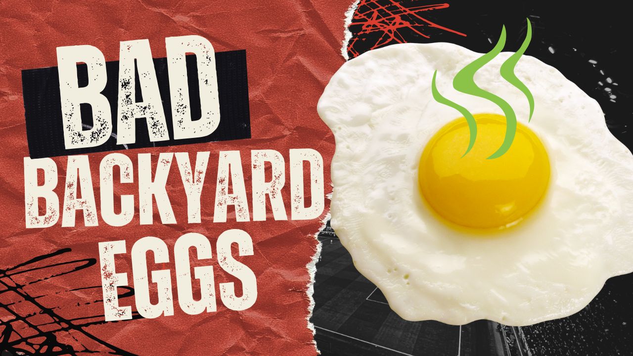 Stop Selling Backyard Eggs!