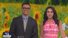 Summer entertaining with Etsy