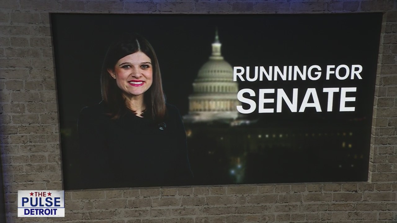 Stevens on race for U.S. Senate & asking the experts
