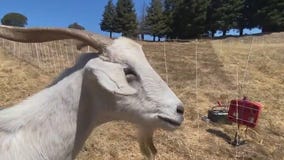 Wildfire Safety Day in Ventura County