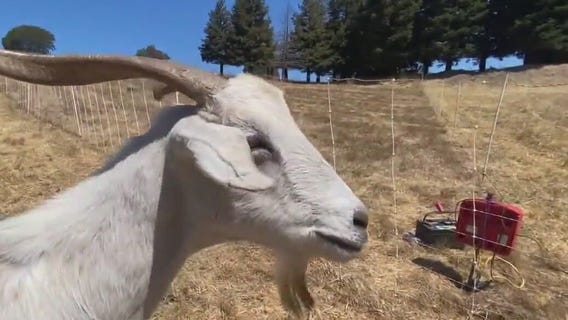 Wildfire Safety Day in Ventura County