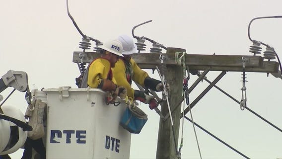 How tree planting can cut the risk of power outages in Metro Detroit