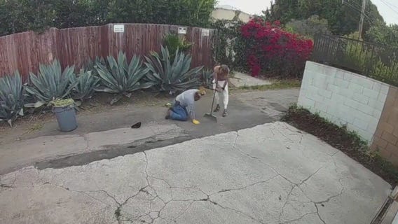 Shirtless man attacks gardener in Brentwood