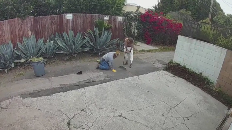 Shirtless man attacks gardener in Brentwood