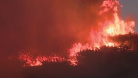Wolf Fire burns 1,400 acres in Riverside County