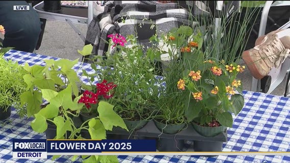 Prielipp Farms & Greenhouse