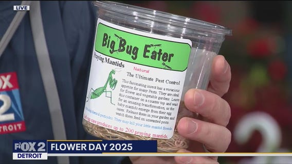 Gaier Farms & Greenhouse