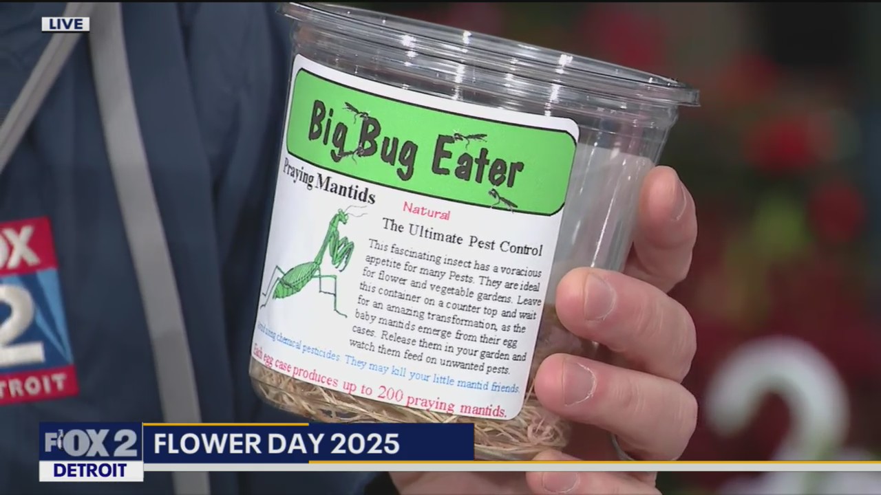 Gaier Farms & Greenhouse