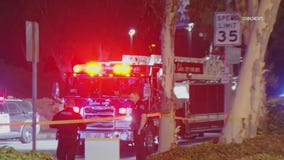 2 hospitalized after CHP patrol car slams into tree