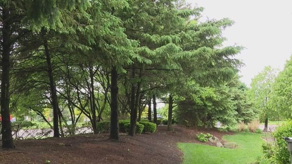 Clinton Township argues against proposed power line