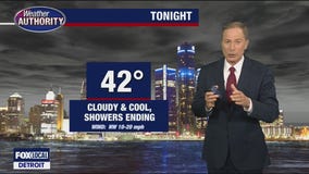 Stray shower and cool for Friday