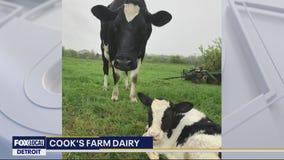 Cooks Farm Dairy