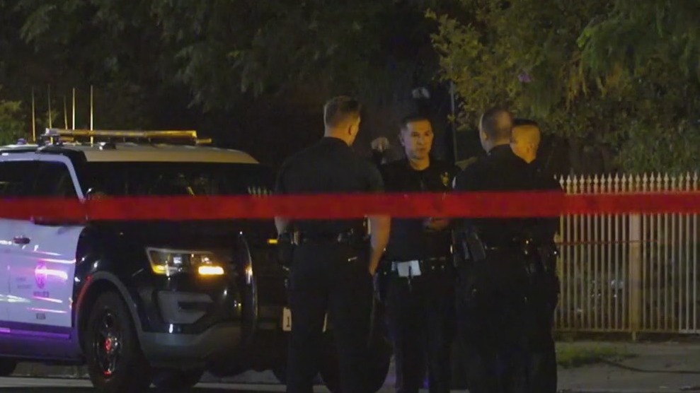 Woman killed in hit-and-run crash